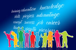 爱游戏在线娱乐官网-中国篮球职业联赛品牌战略及市场推广研究，中国的职业篮球联赛