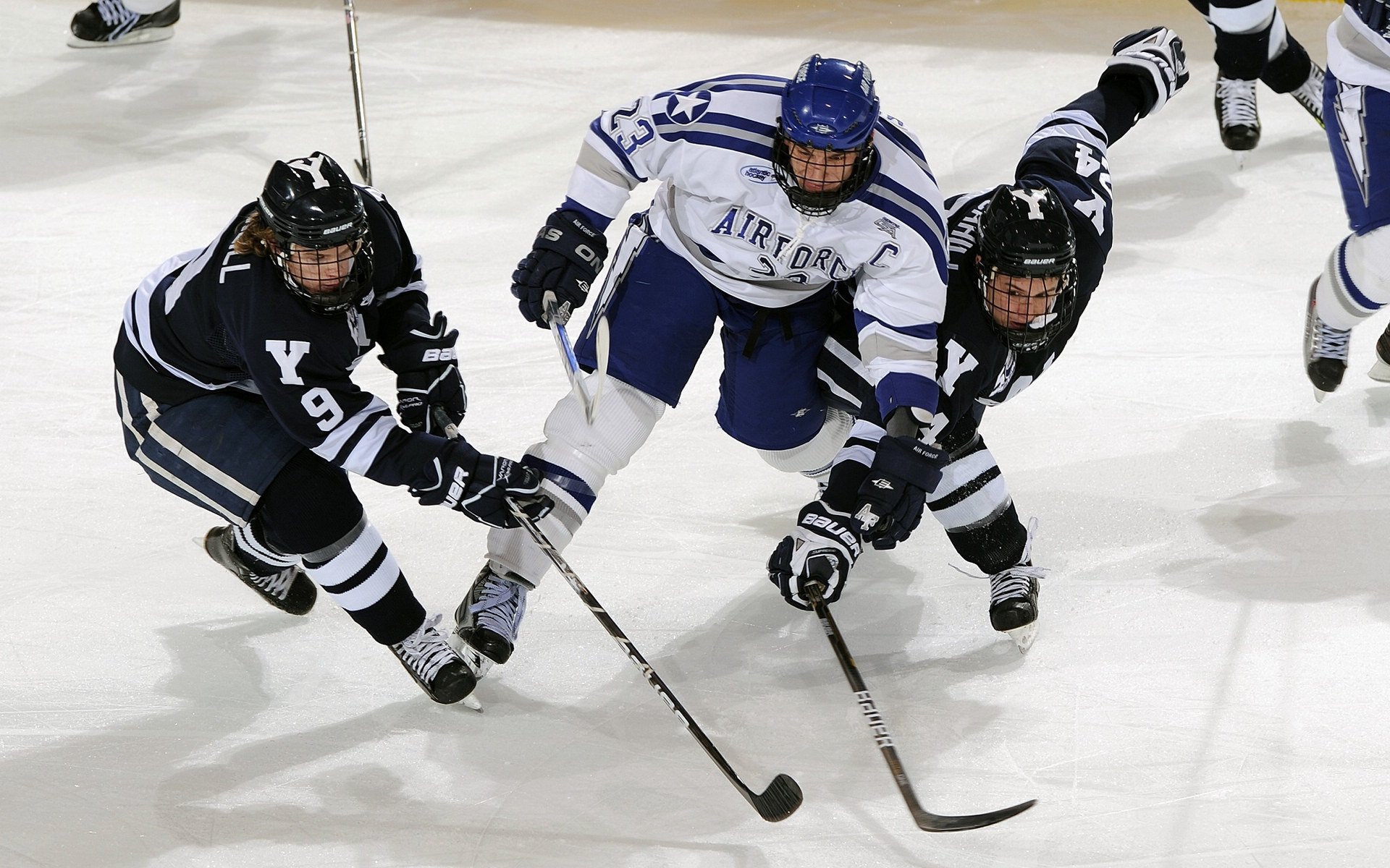 AYXSPORTSAPP-校园体育课程评价体系与学生发展关联性研究，学校体育评价的概念