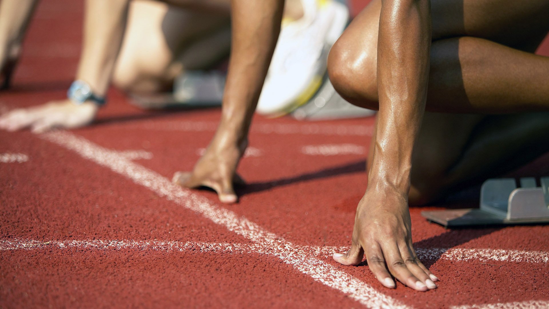 高校运动训练数据采集与分析系统研究，2021年全国高等学校运动训练