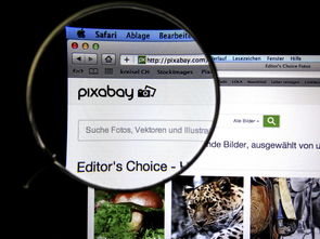 爱游戏体验-体育新闻中心发布体育短视频传播效果白皮书，体育短视频成为平台和用户的新宠